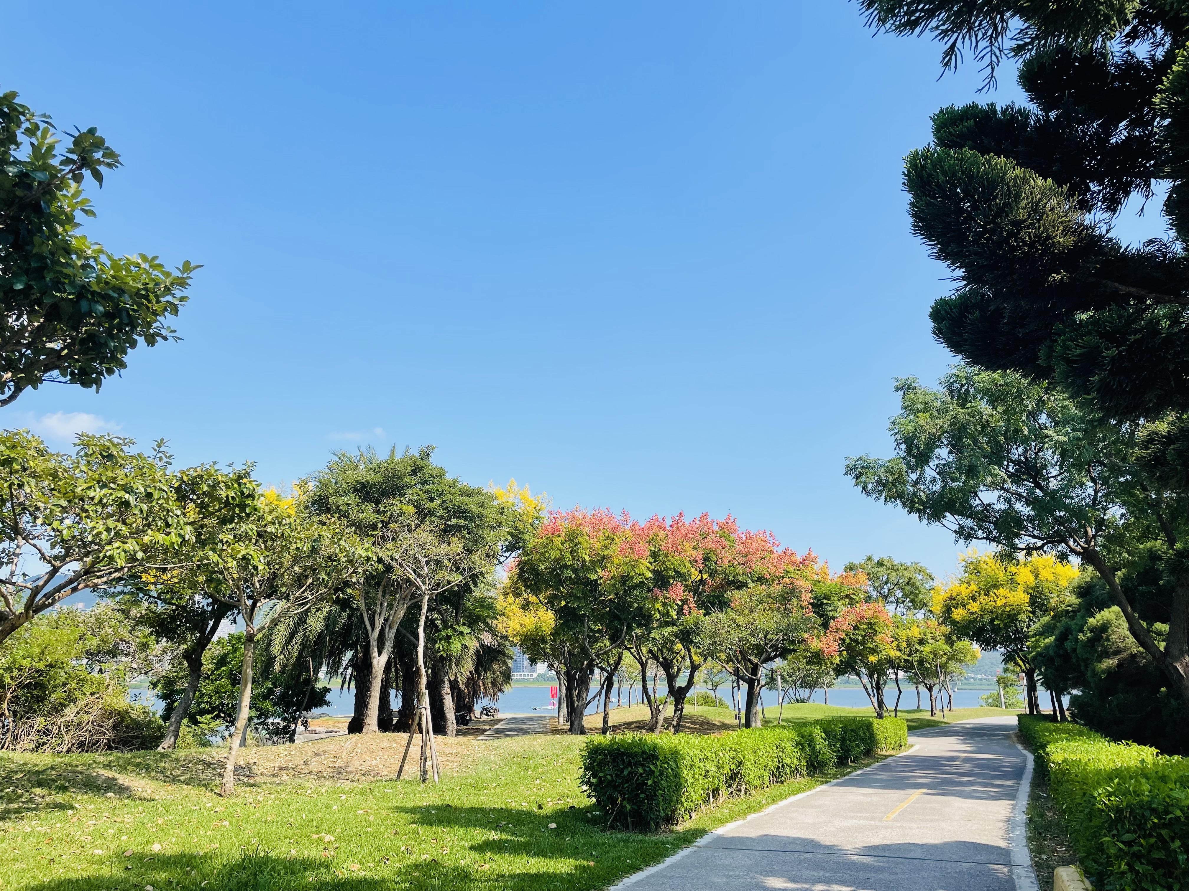 八里左岸公園沿線