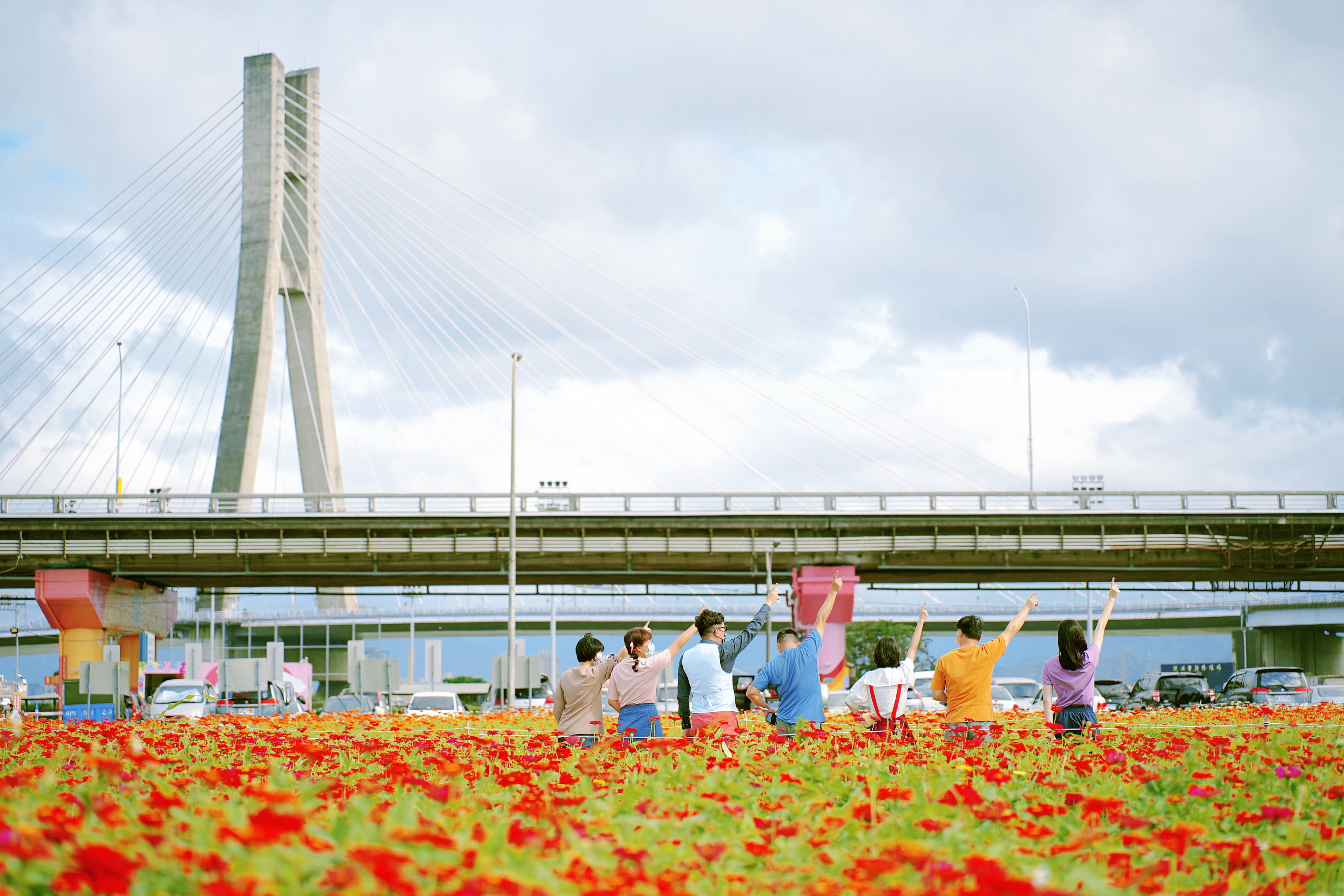 陪你去看百日草花海在幸福水漾公園