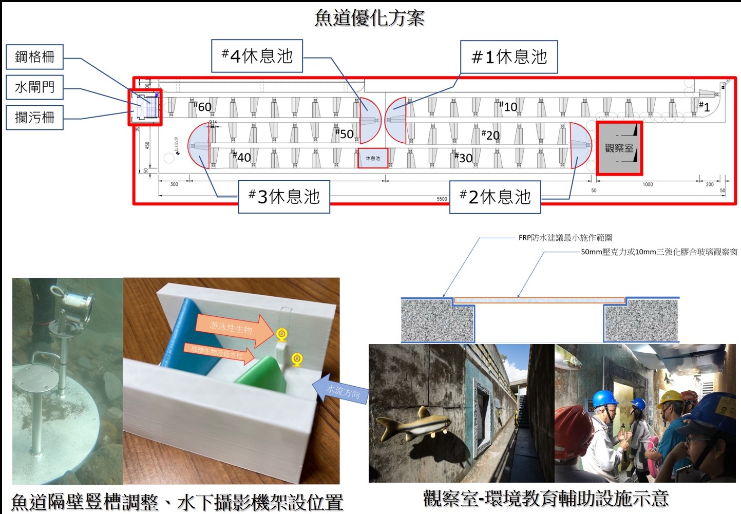 香魚復育觀察廊道優化示意圖