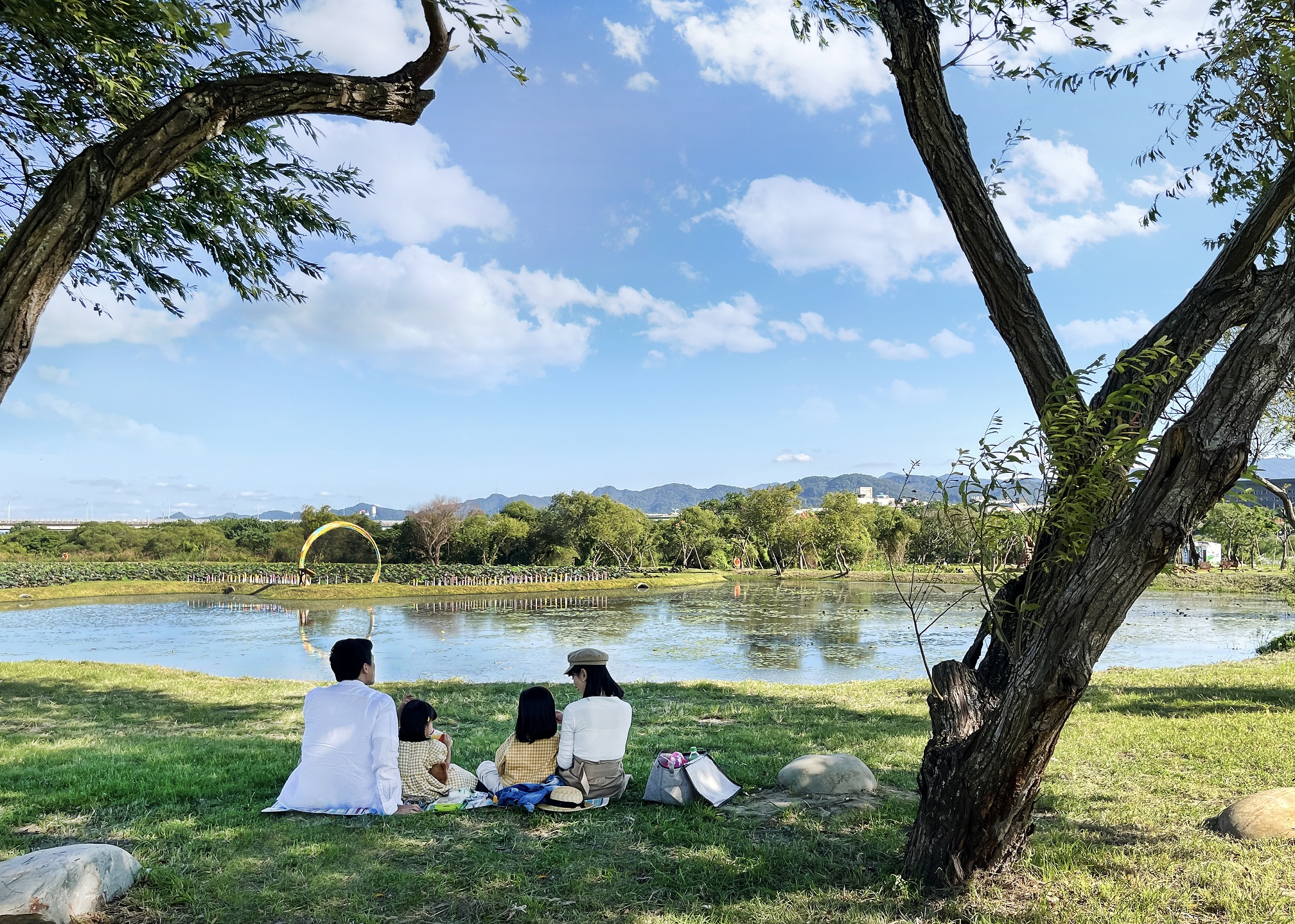 樹林山佳荷花池，記得「荷」情人一起來浪漫賞花
