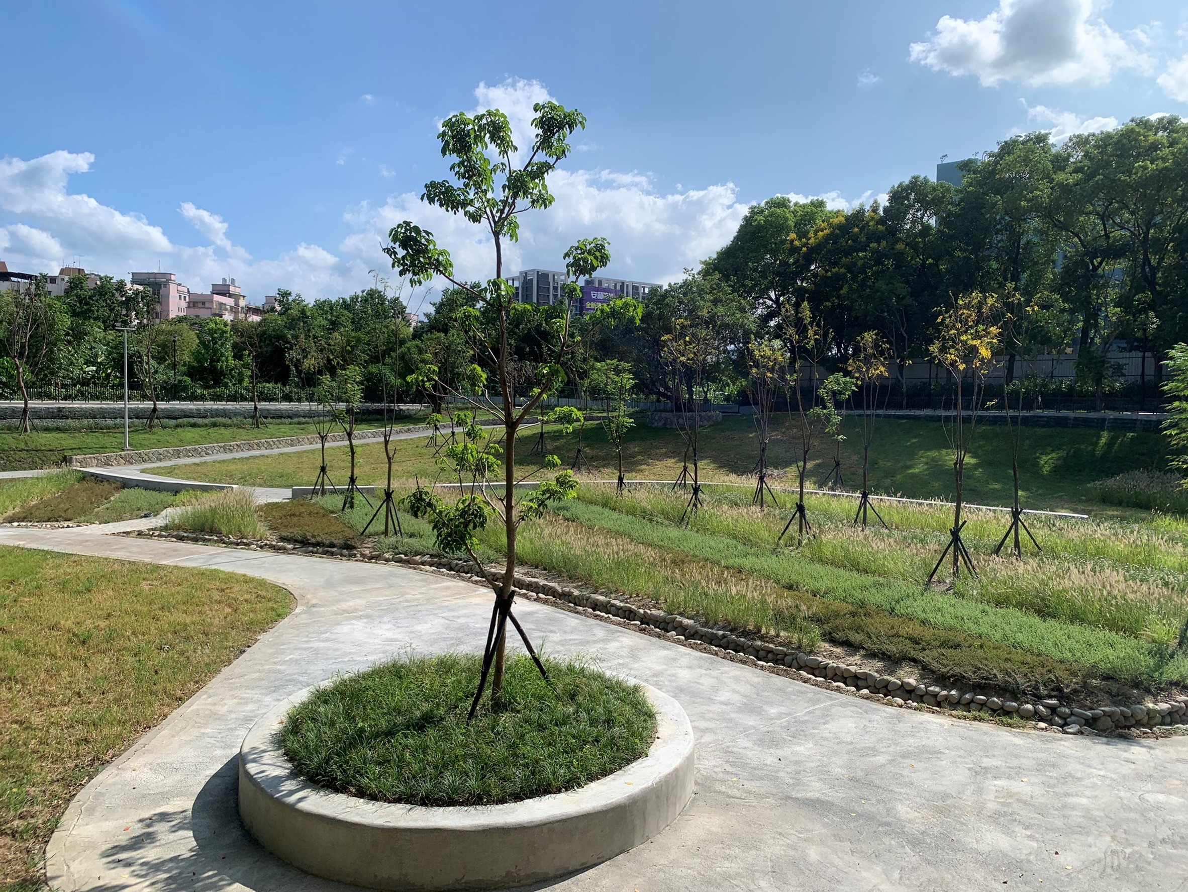 環園步道的散步空間以透水鋪面鋪設，另設有無障礙緩坡做串聯
