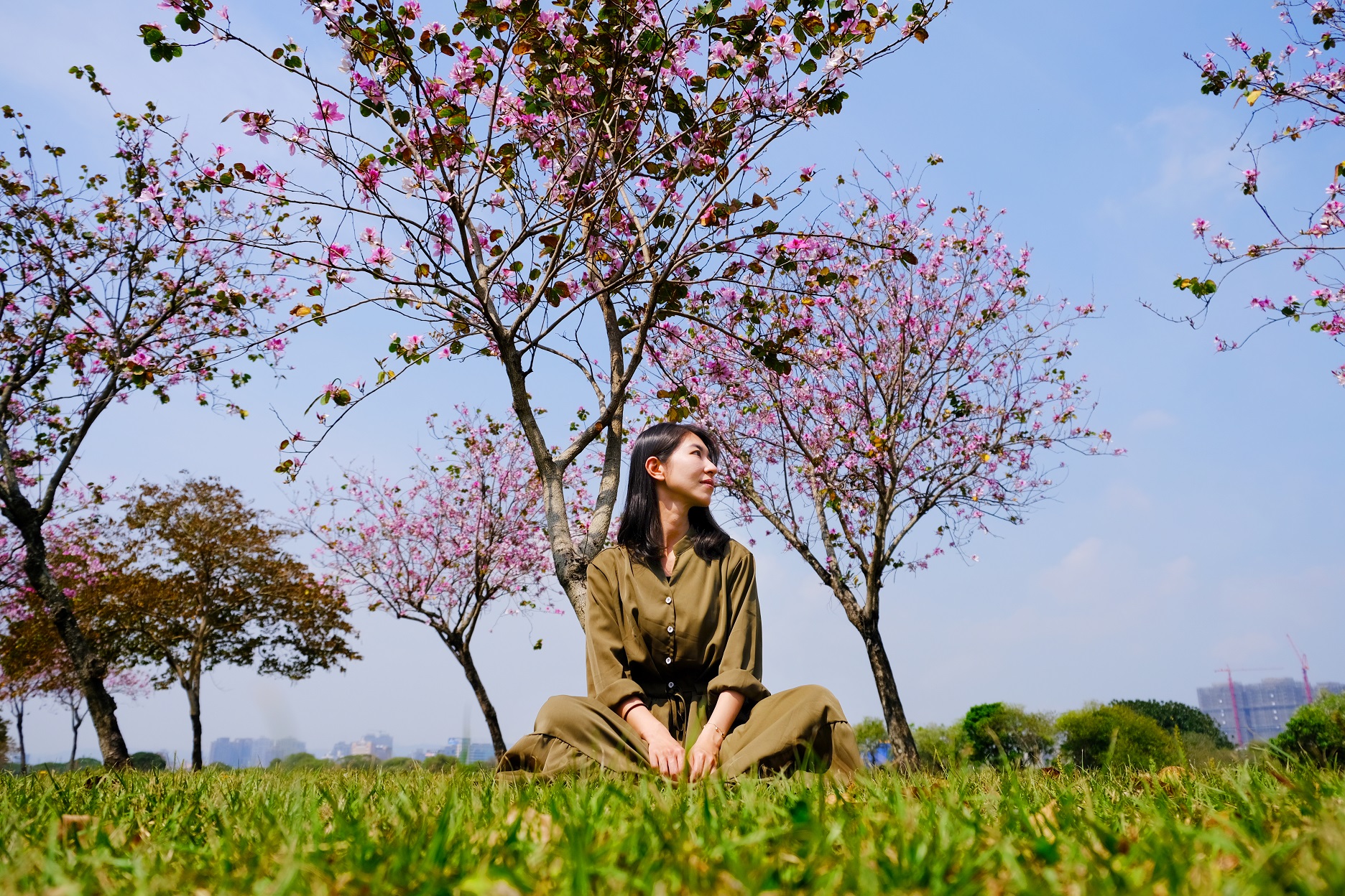 5.河濱公園是休憩、賞花最佳場域