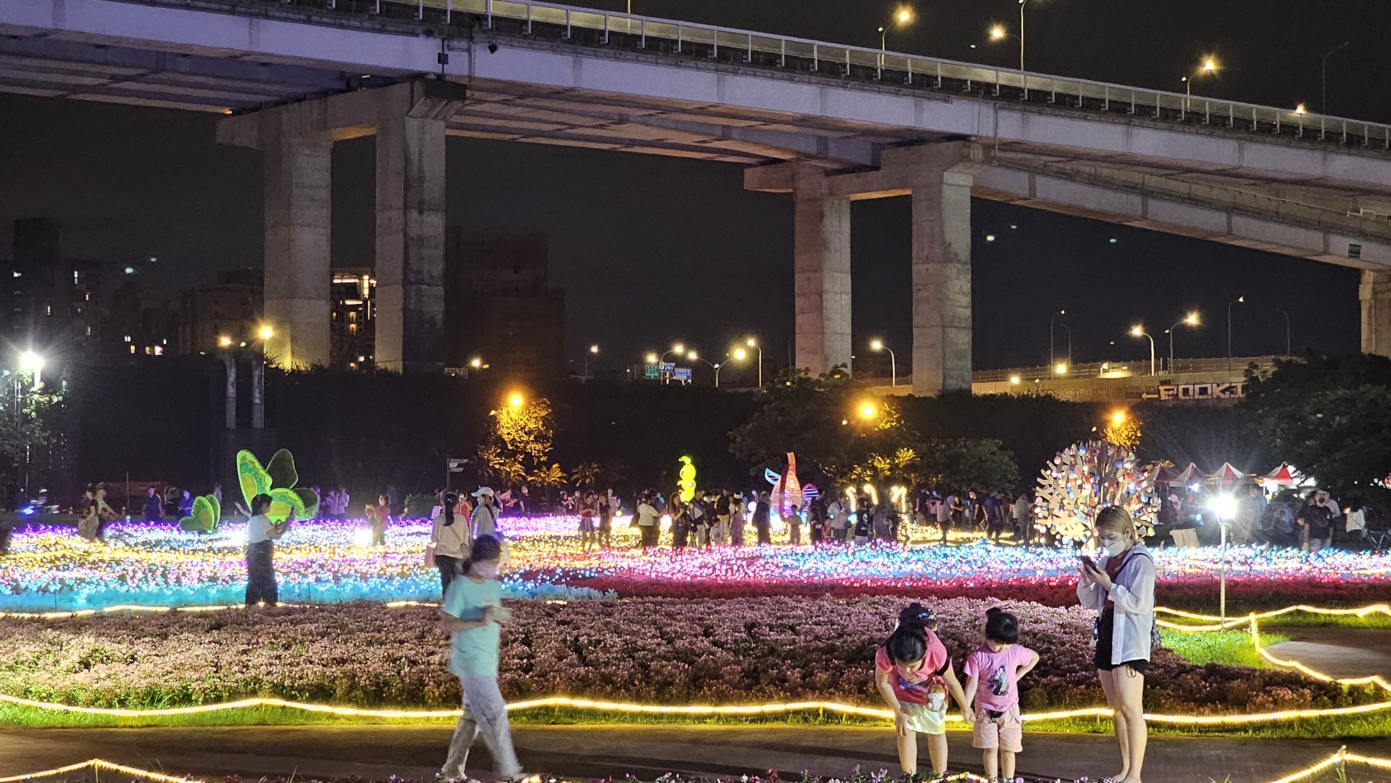 感受夜晚花海及光海美景
