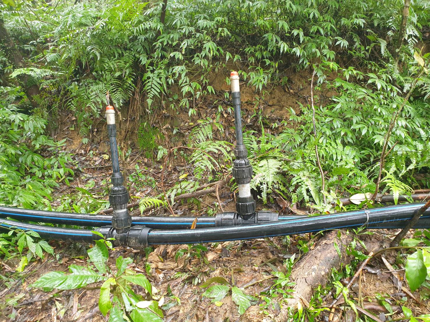 更換上新管線使供水更加穩定