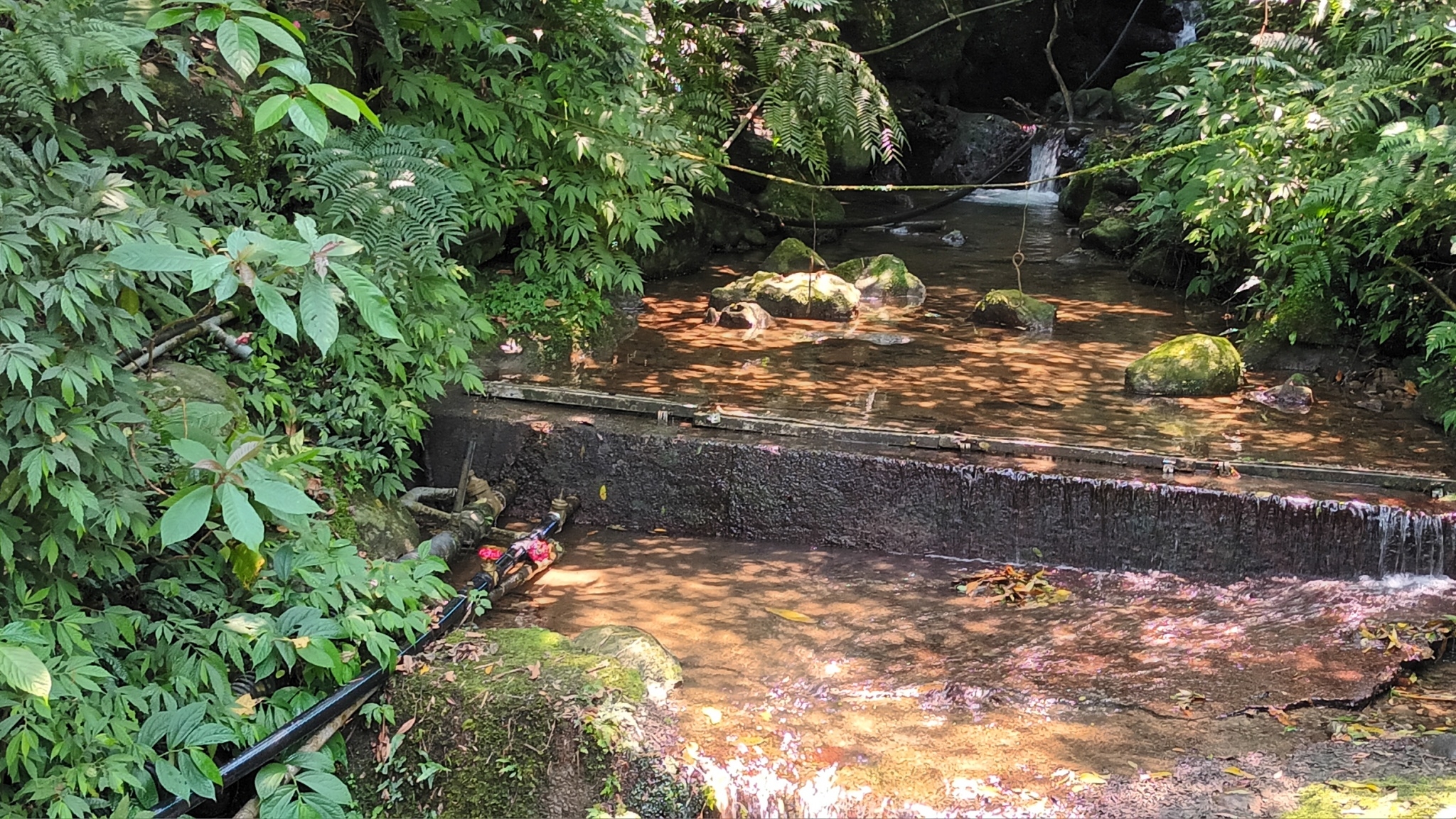 竹崙里三層坪水源頭清疏維持水源清澈