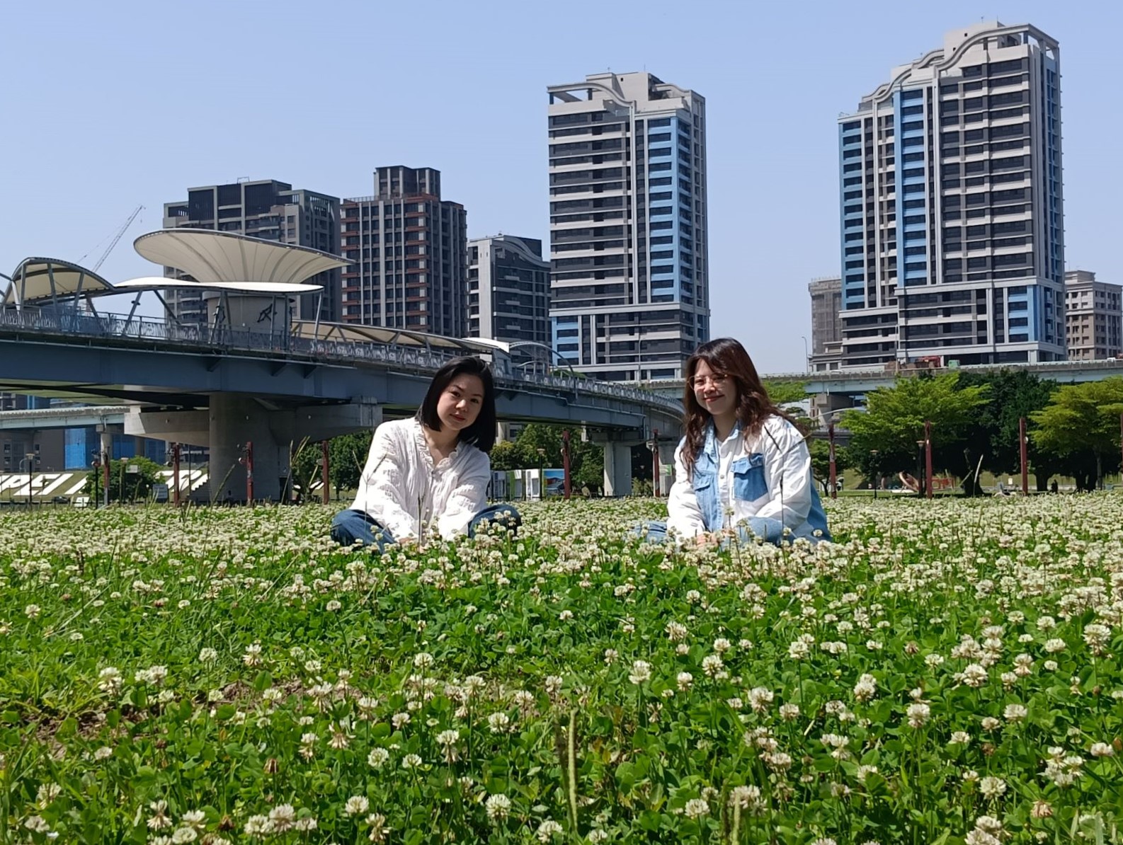  幸運草在新北大都會 幸福水漾公園灑滿幸福