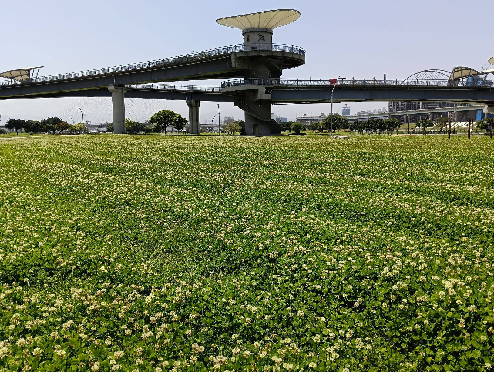  浪漫氛圍、青春洋溢，闔家出遊的好去處