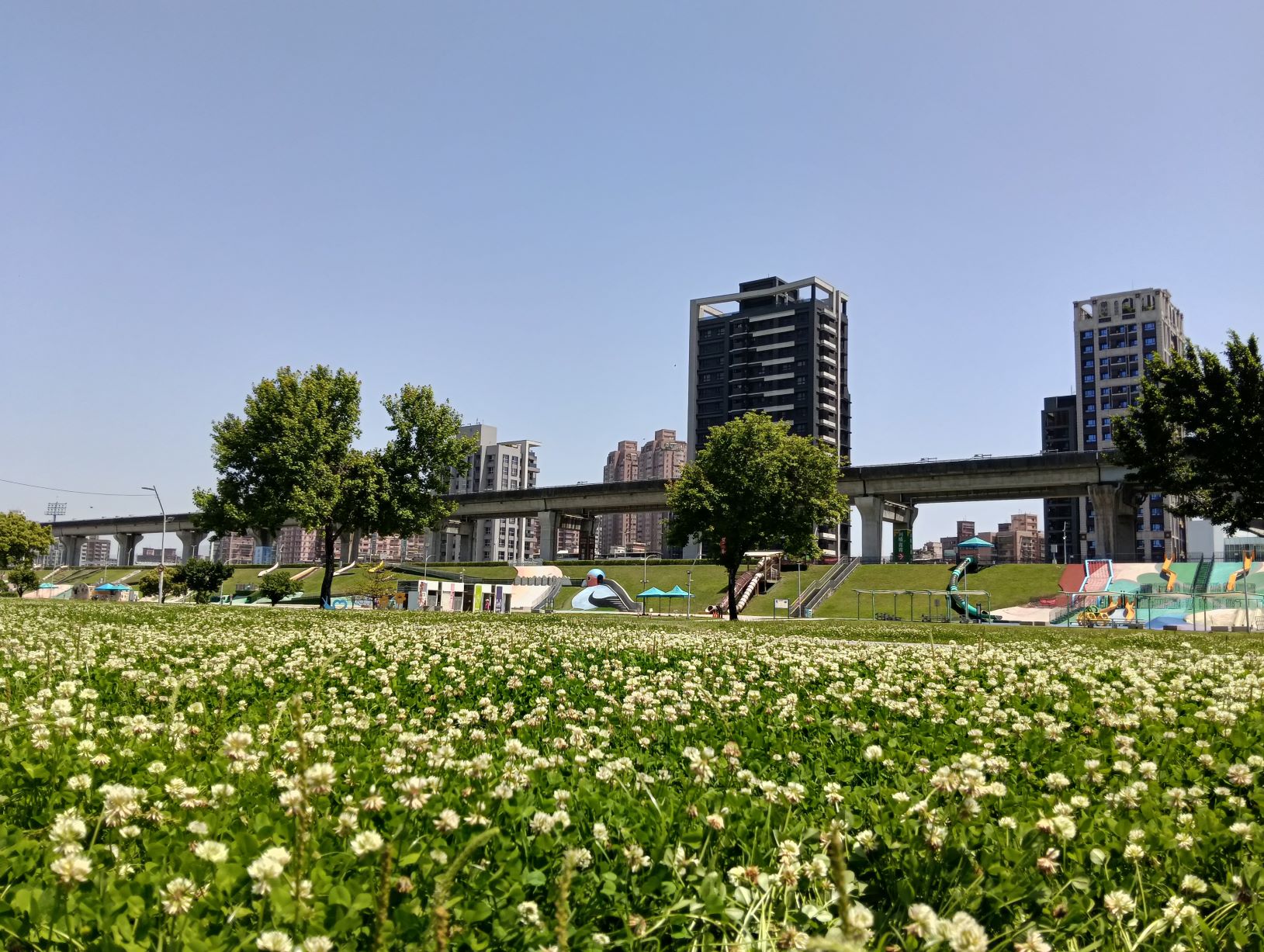 感受著柔軟的草地和清新的空氣