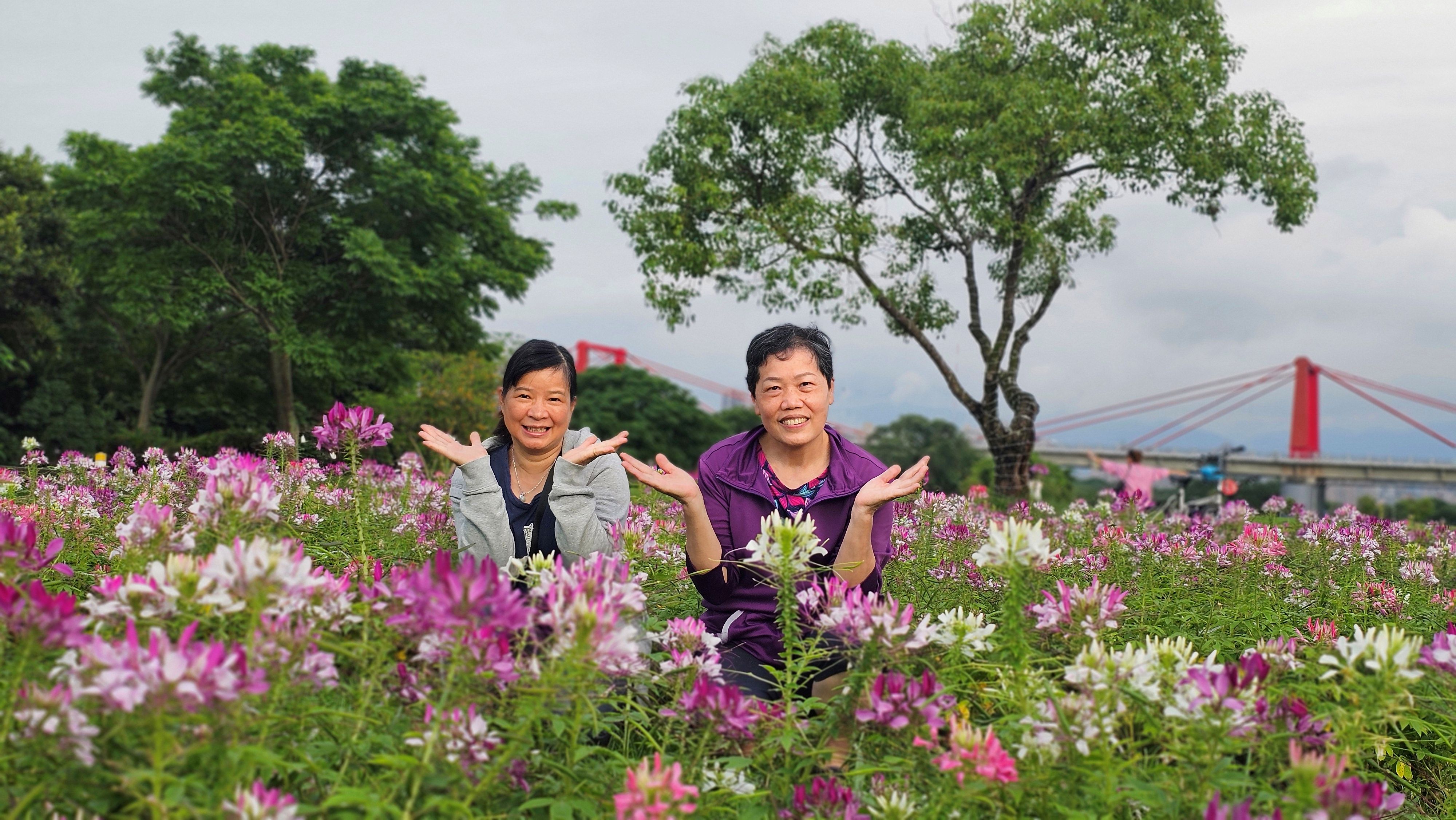 市民朋友於花間拍照，讓初夏奇境充滿生機。