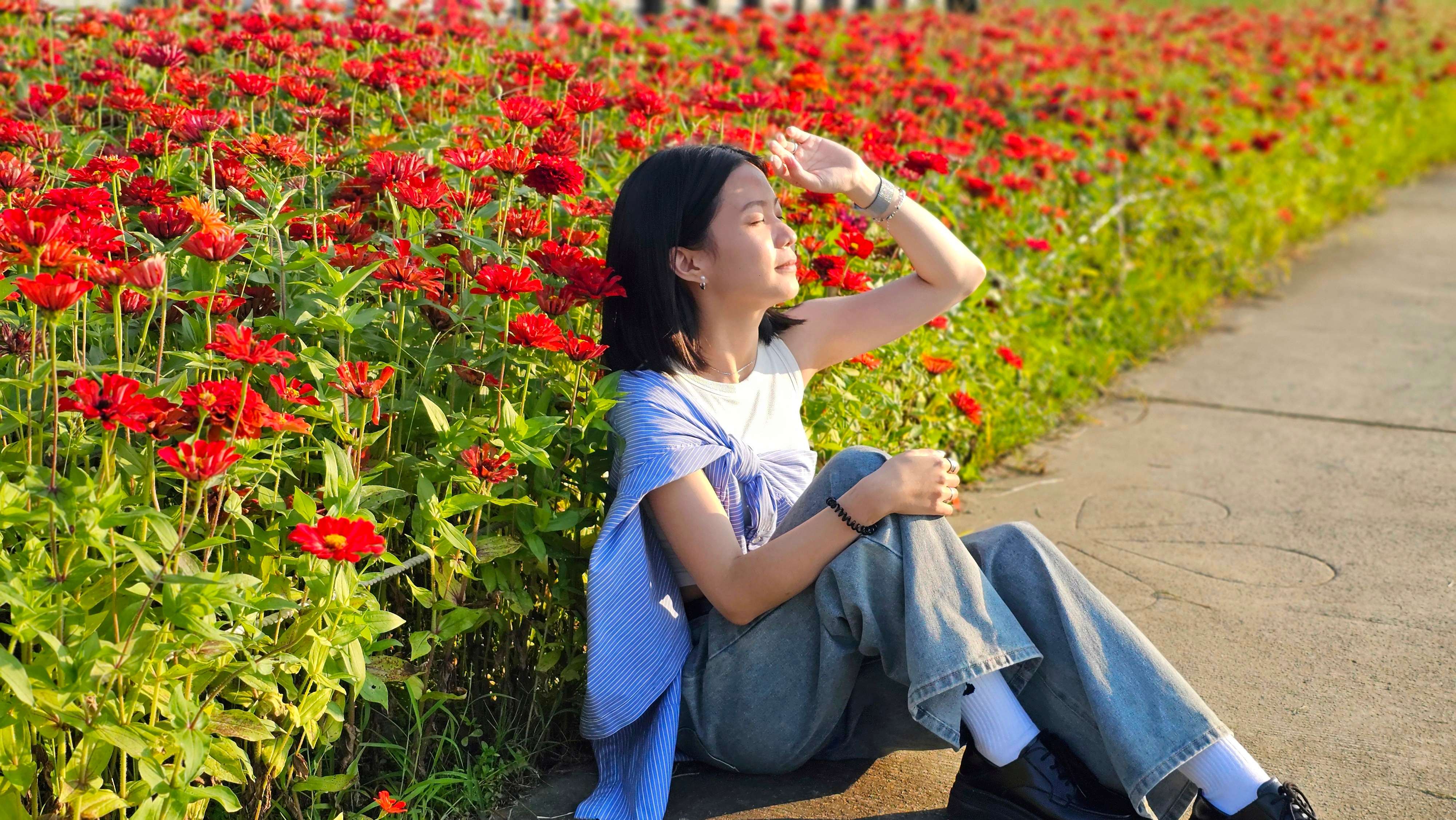  2025年大都會公園花海充滿百日草、波斯菊及向日葵