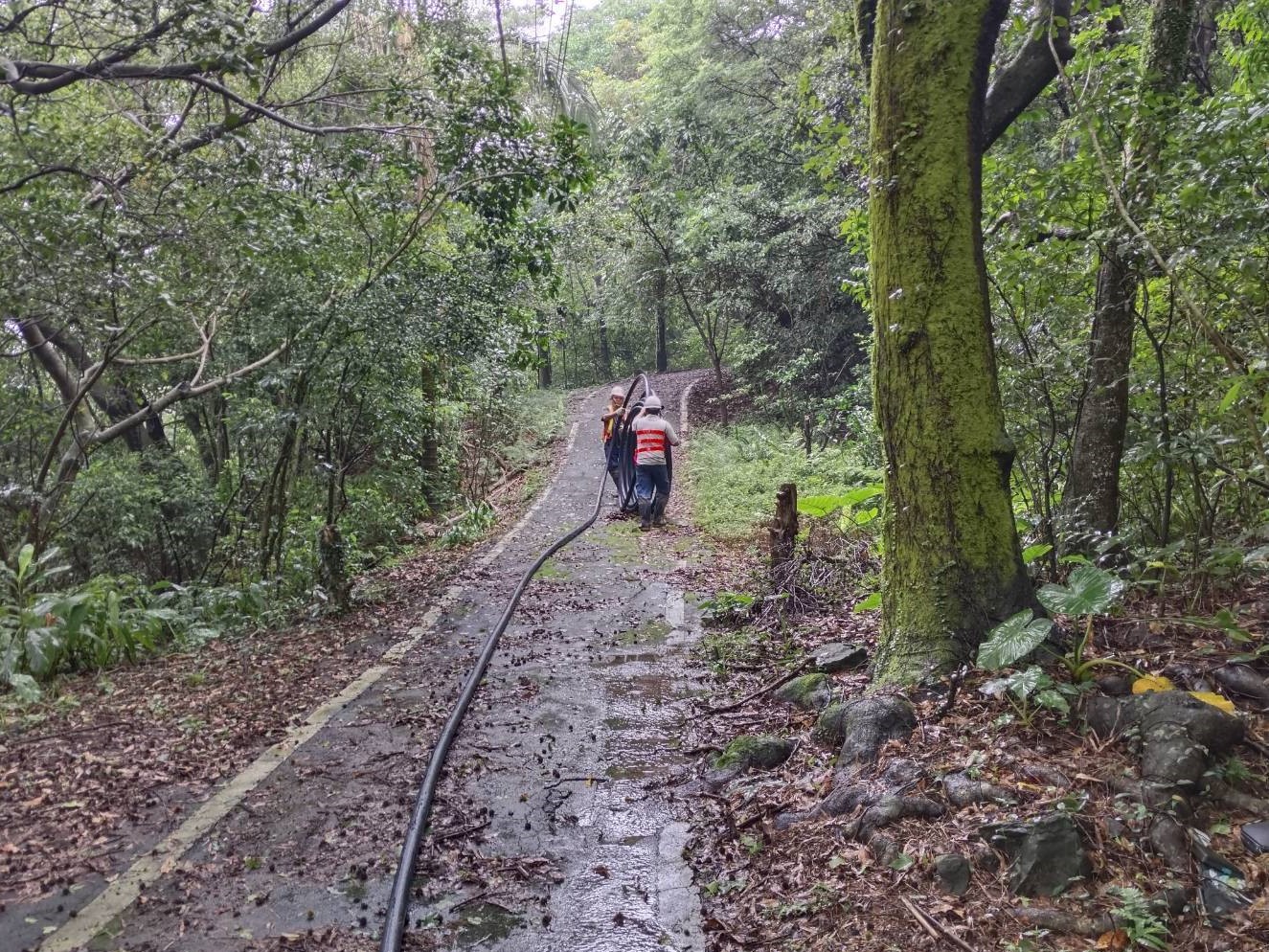 工程人員冒雨於山區施作接管作業