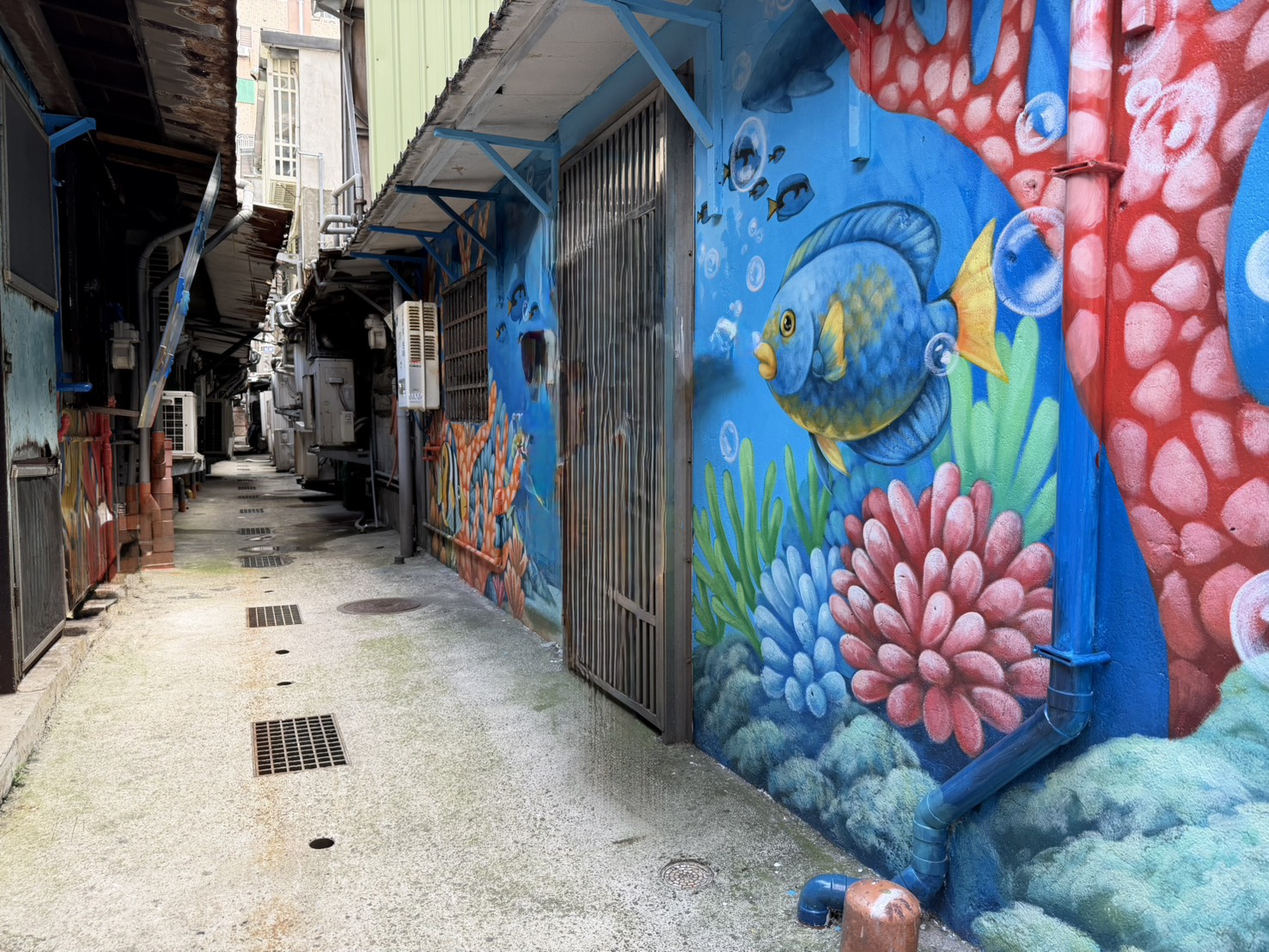 後巷美化後，也讓居民的生活多了溫暖與幸福感【板橋區聯翠里】