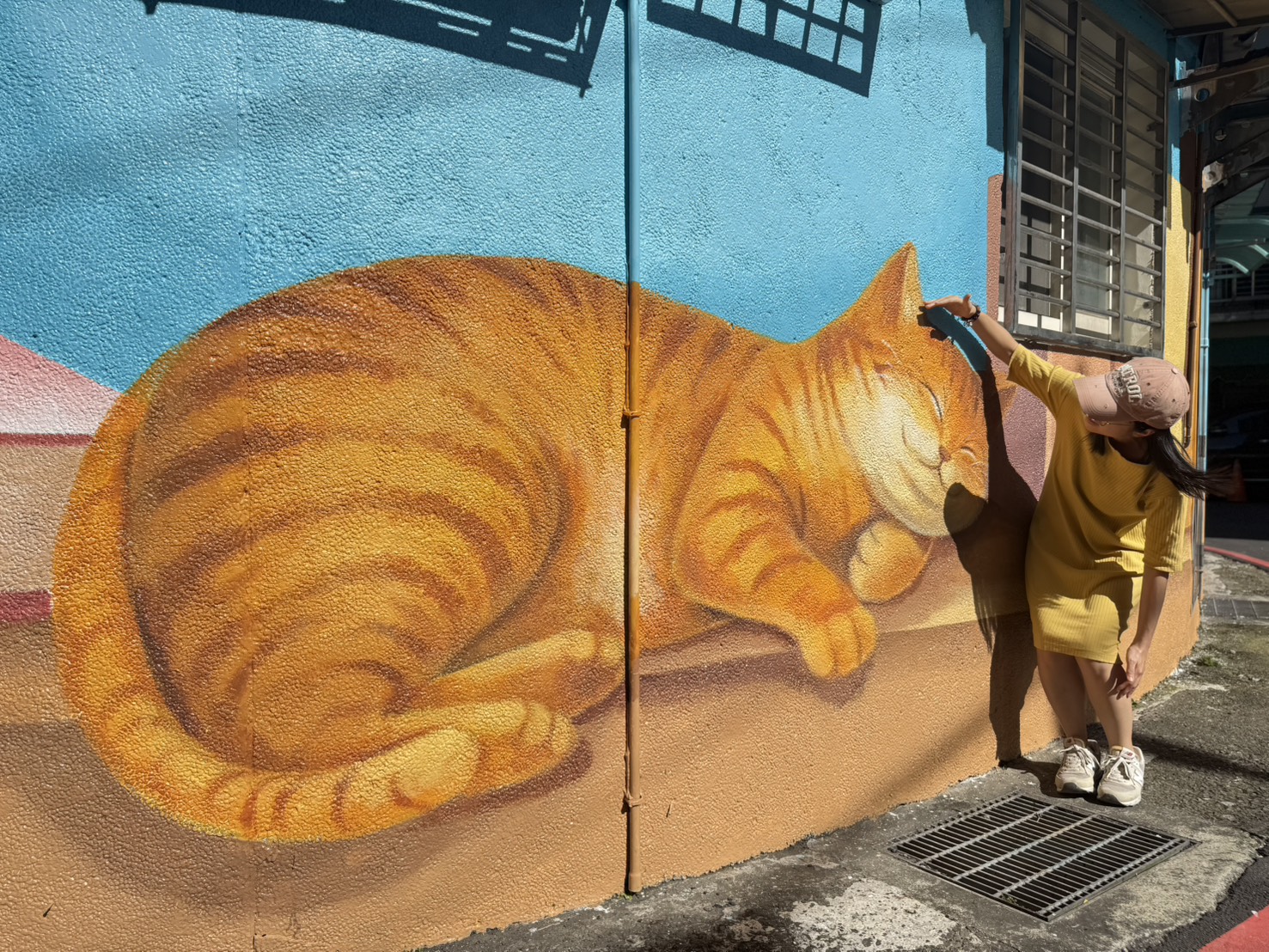 午睡中的小貓咪【土城區清和里】