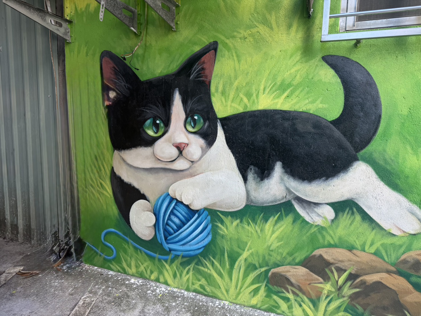 草坪中愜意休息遊憩的賓士貓【土城區清和里】