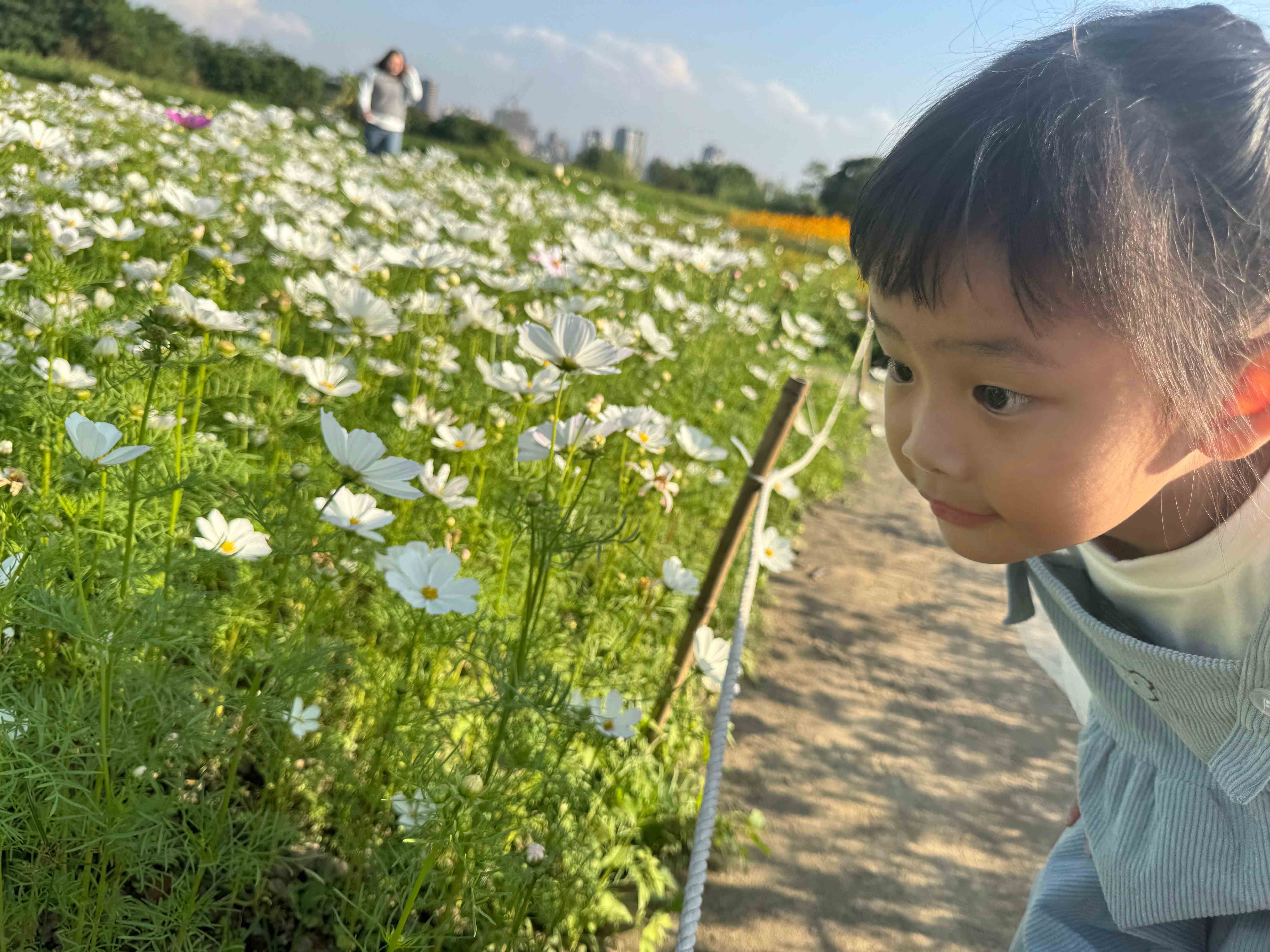 小朋友凝視旺盛的生命力