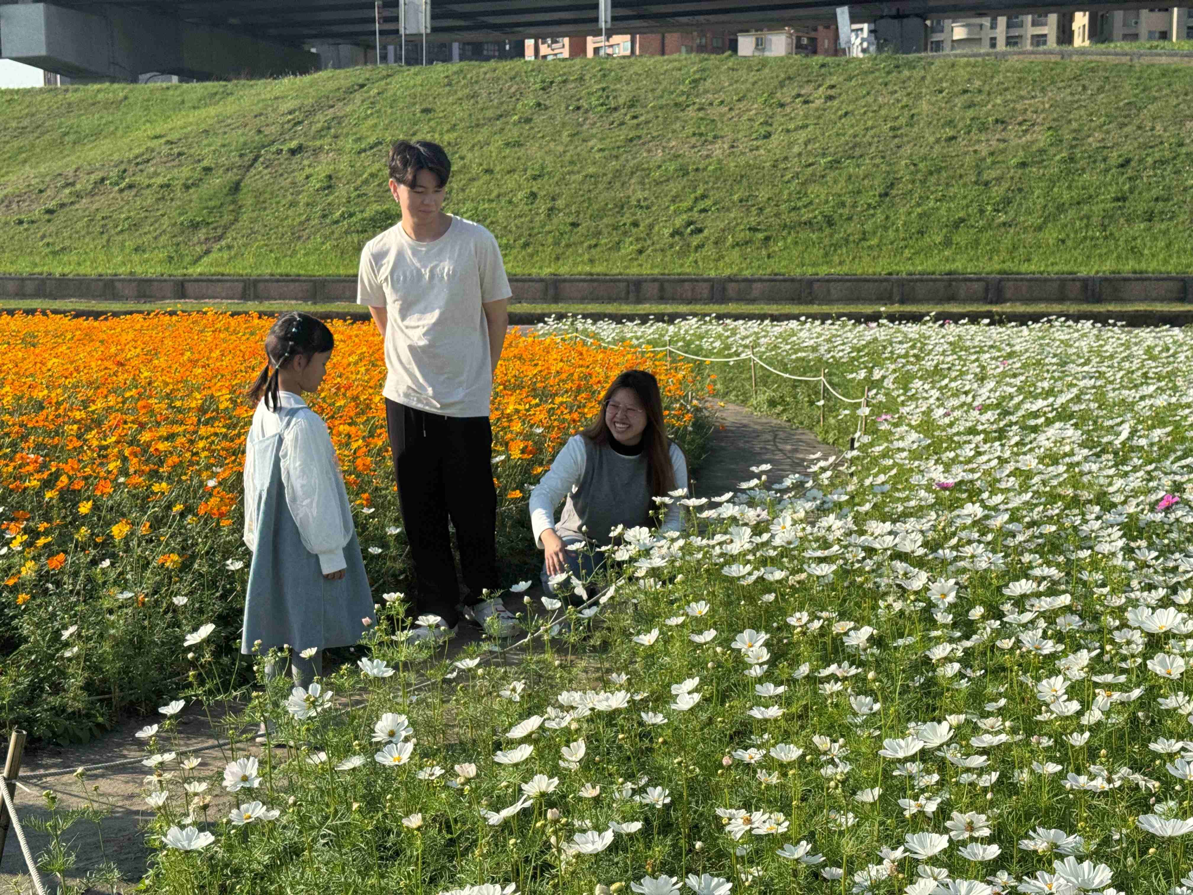 花田之間其樂融融