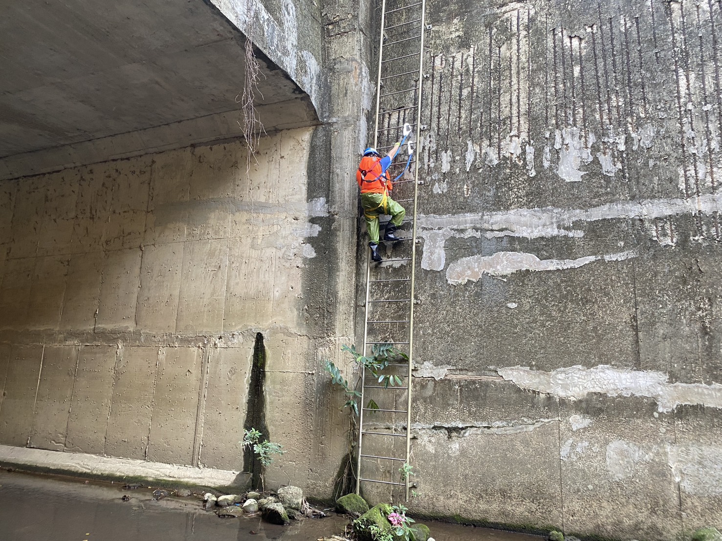 檢查人員全副武裝進入汐止區大寮溪河道內進行檢查