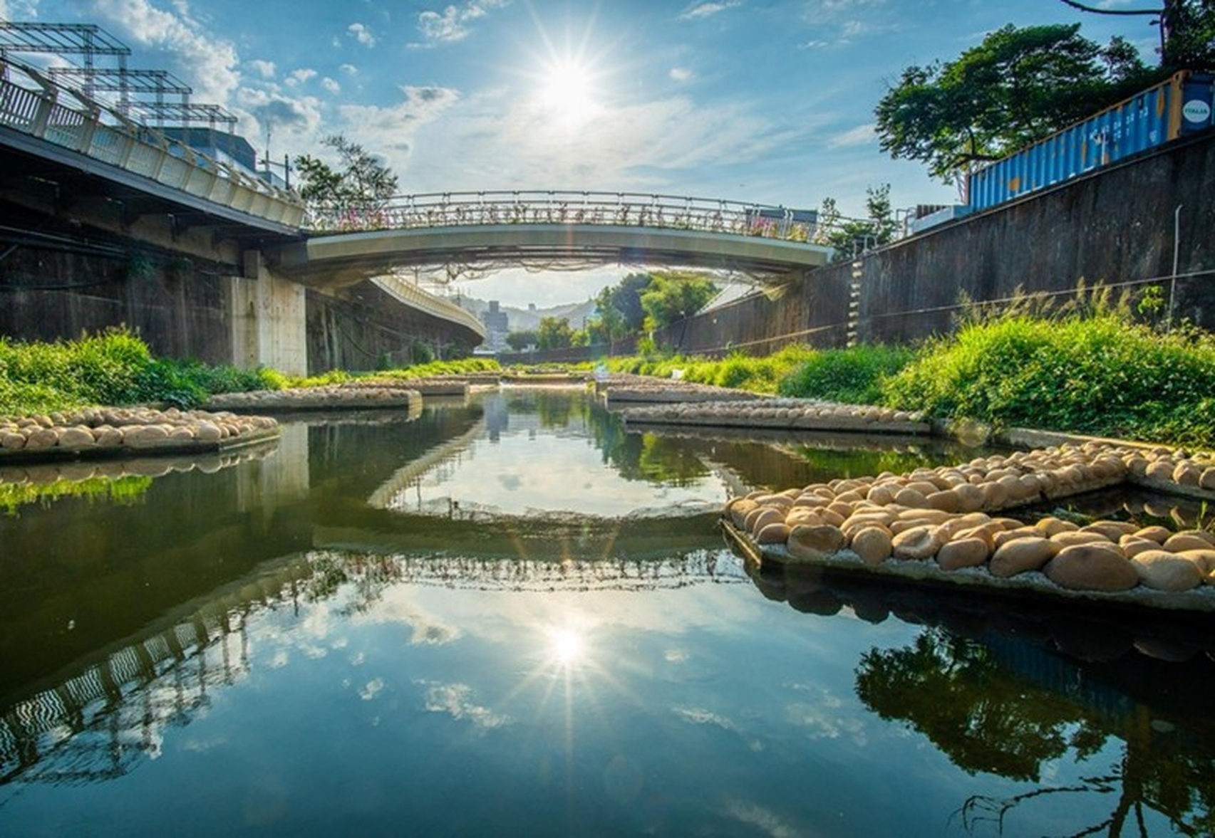 大窠坑溪水環境營造工程營造多元環境，待淤積後可成為植生復育棲地