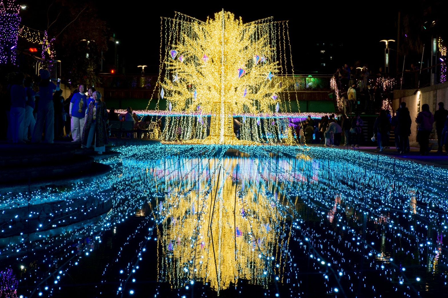 今年最受矚目的必拍打卡點為自信橋下的七公尺高「星耀之樹」