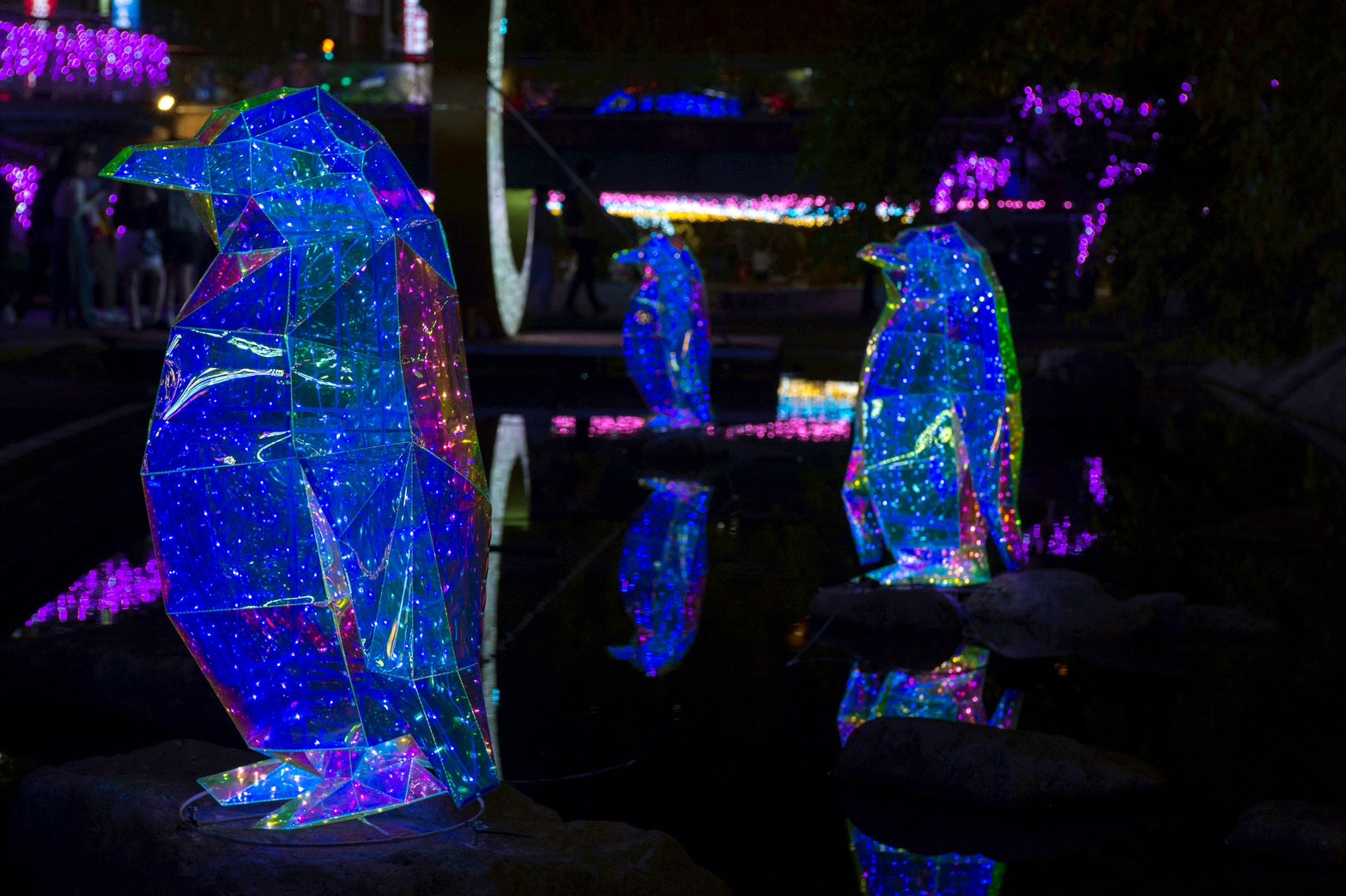 超Q企鵝排排站萌翻了，讓民眾爭相拍照