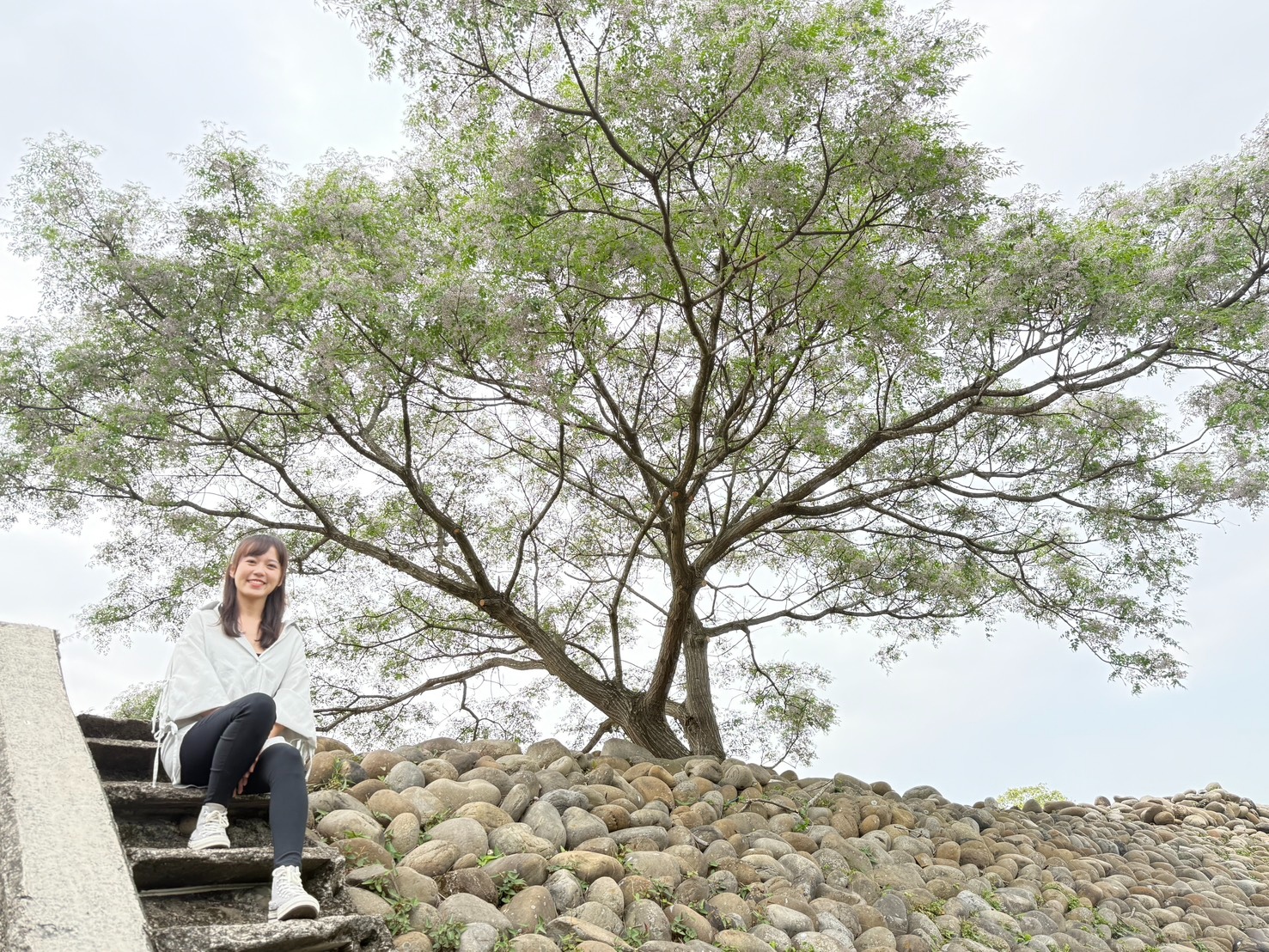 淡雅花香隨風飄散，讓人沉浸於春日氛圍之中