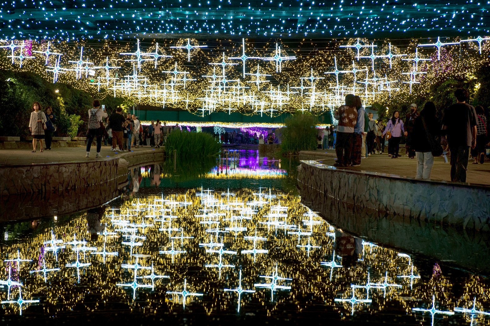 星光倒映整個水岸美到讓人拍不停