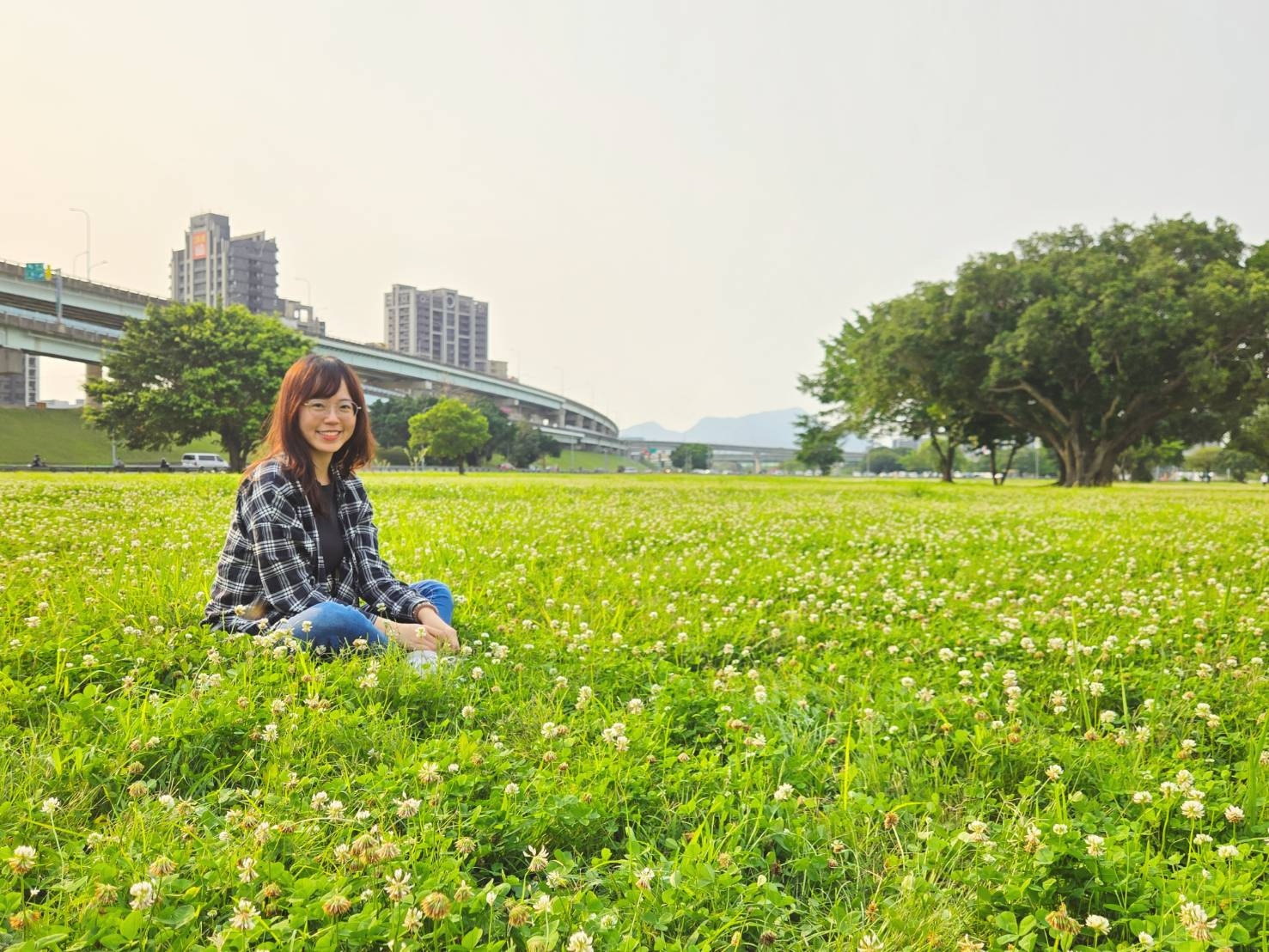  新北大都會公園滿滿白花三葉草的幸福笑容