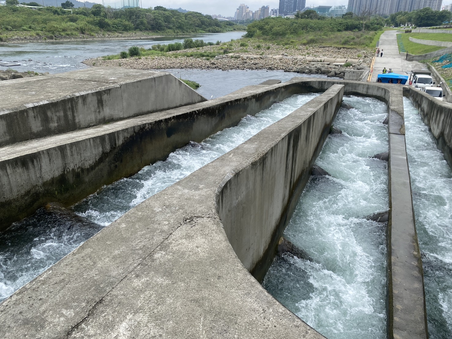 碧潭堰魚道成功連接堰體上下游的生態廊道，讓新店溪的魚蝦蟹可以順利洄家