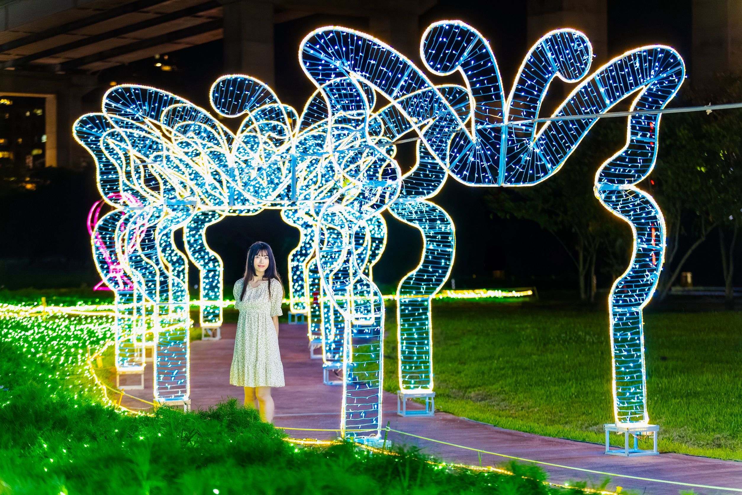  夜間光雕營造白天賞花夜晚賞燈的雙重體驗