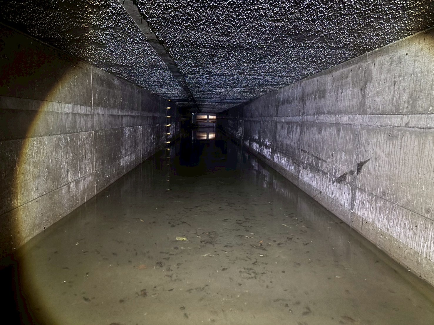 桃子腳國中小前綠地新建滯洪量體290噸的地下滯洪池，提供降雨緩衝空間