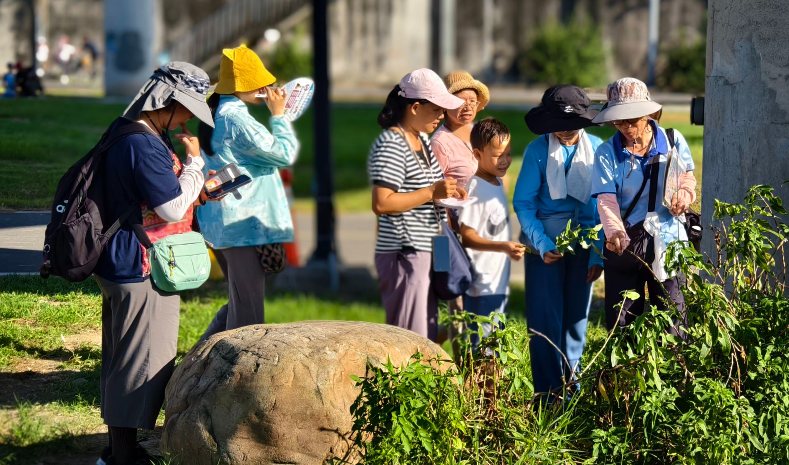  濕地珍水志工帶民眾認識濕地裡的植物