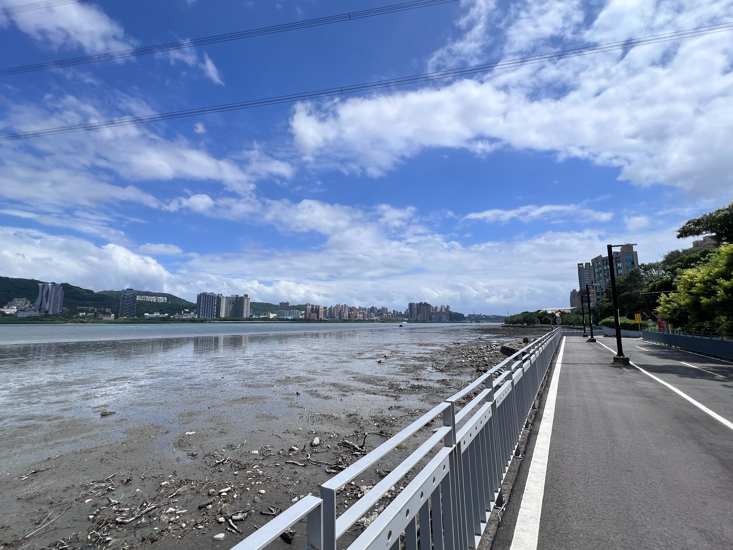  115年執行7處涵蓋幼苗再生區範圍 伐除約3.3公頃面積