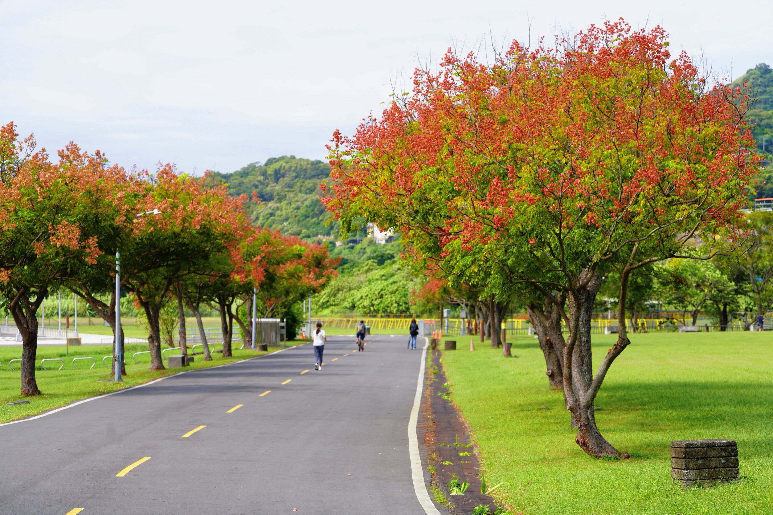  不趕路的秋日時光 騎車慢跑散步都剛剛好(樹林山佳河濱公園)