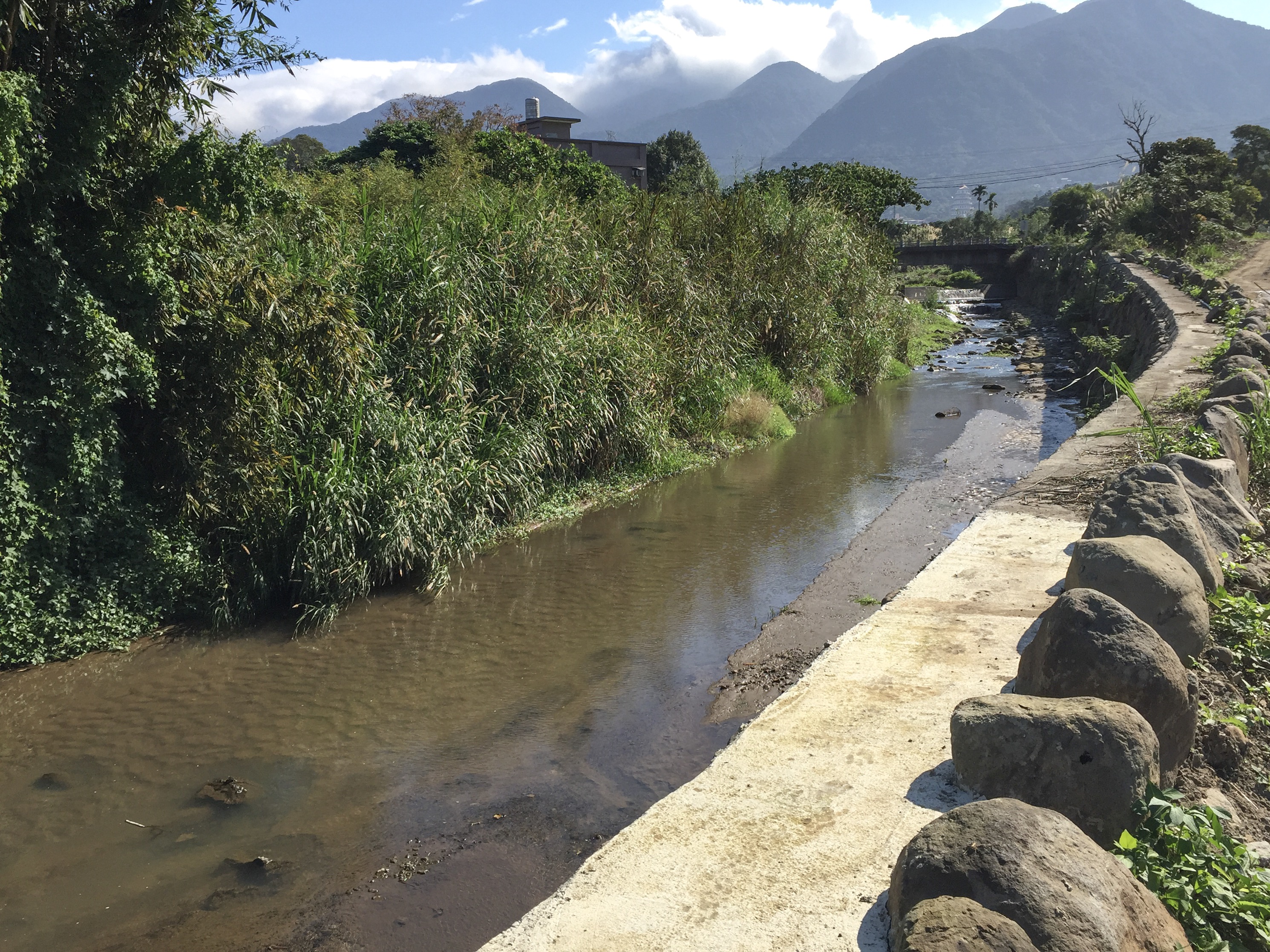 攔水堰造成河道上游淤積影響生態
