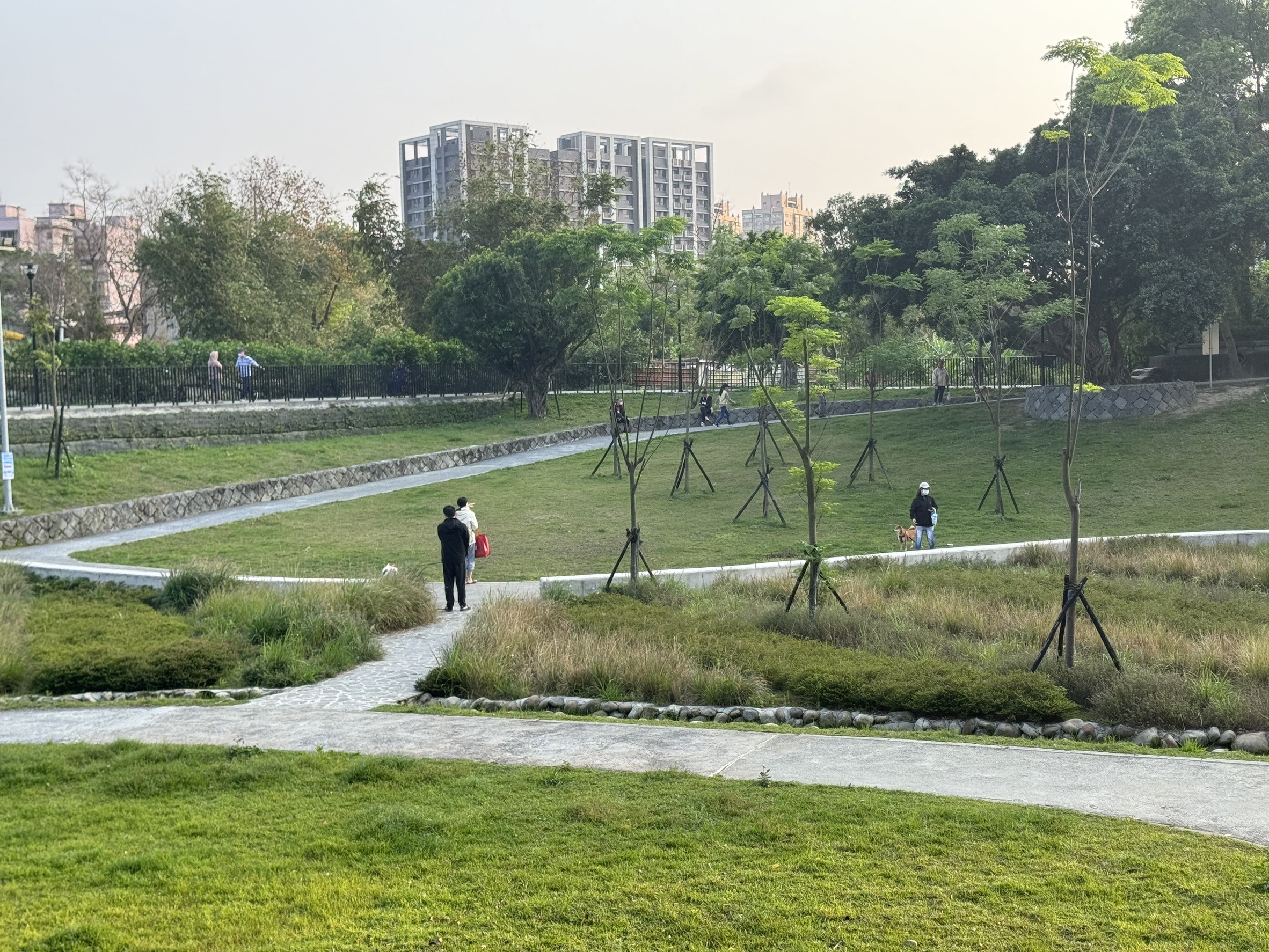 公園的環綠步道，享受賞心悅目的綠意景色