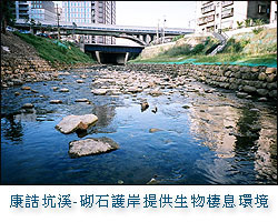 康誥坑溪-砌石護岸提供生物棲息環境