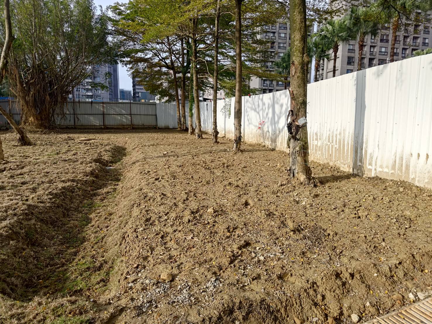 草地導入透保水理念埋設滲透管後復舊並設置草溝