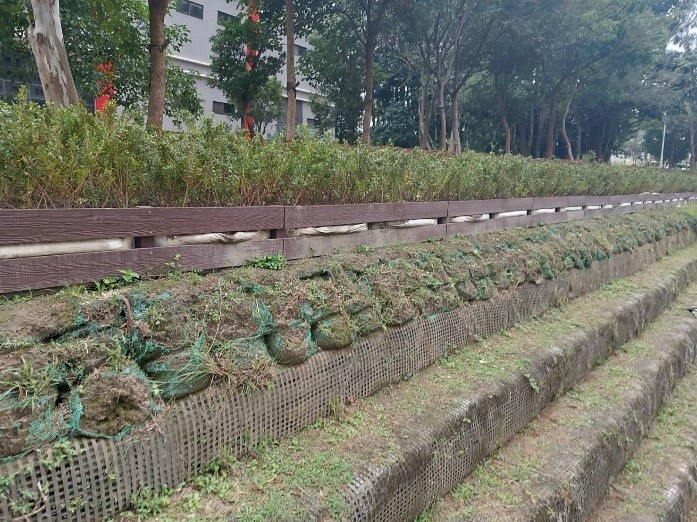 植栽槽施作完成