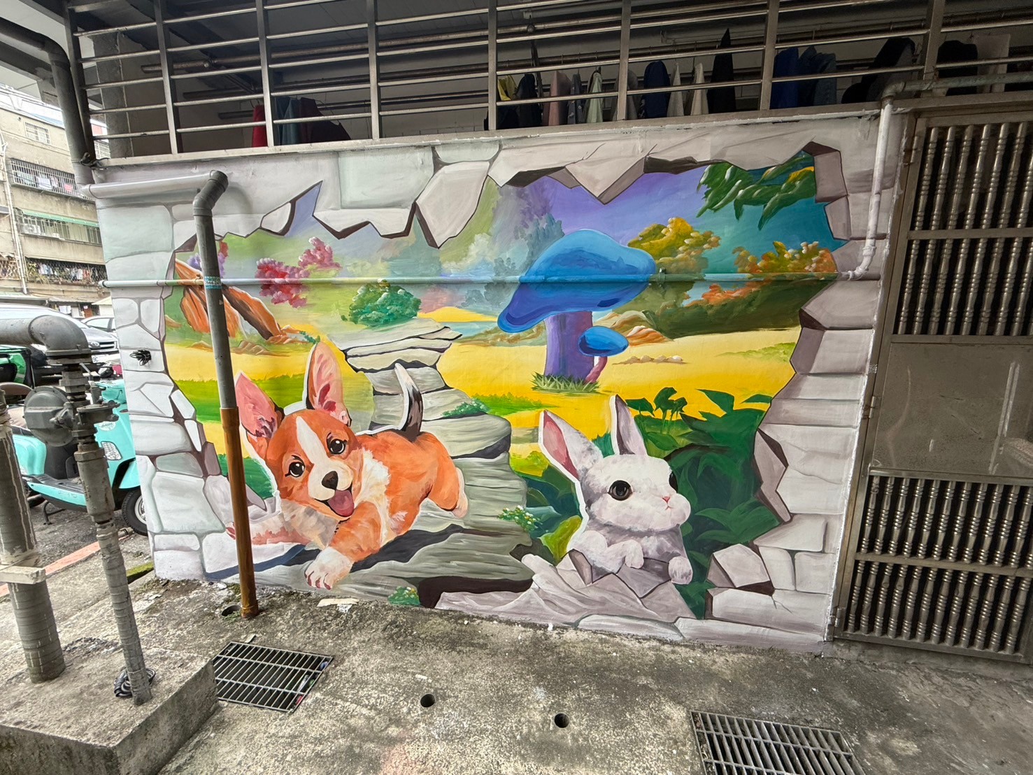 童趣&海洋&動物